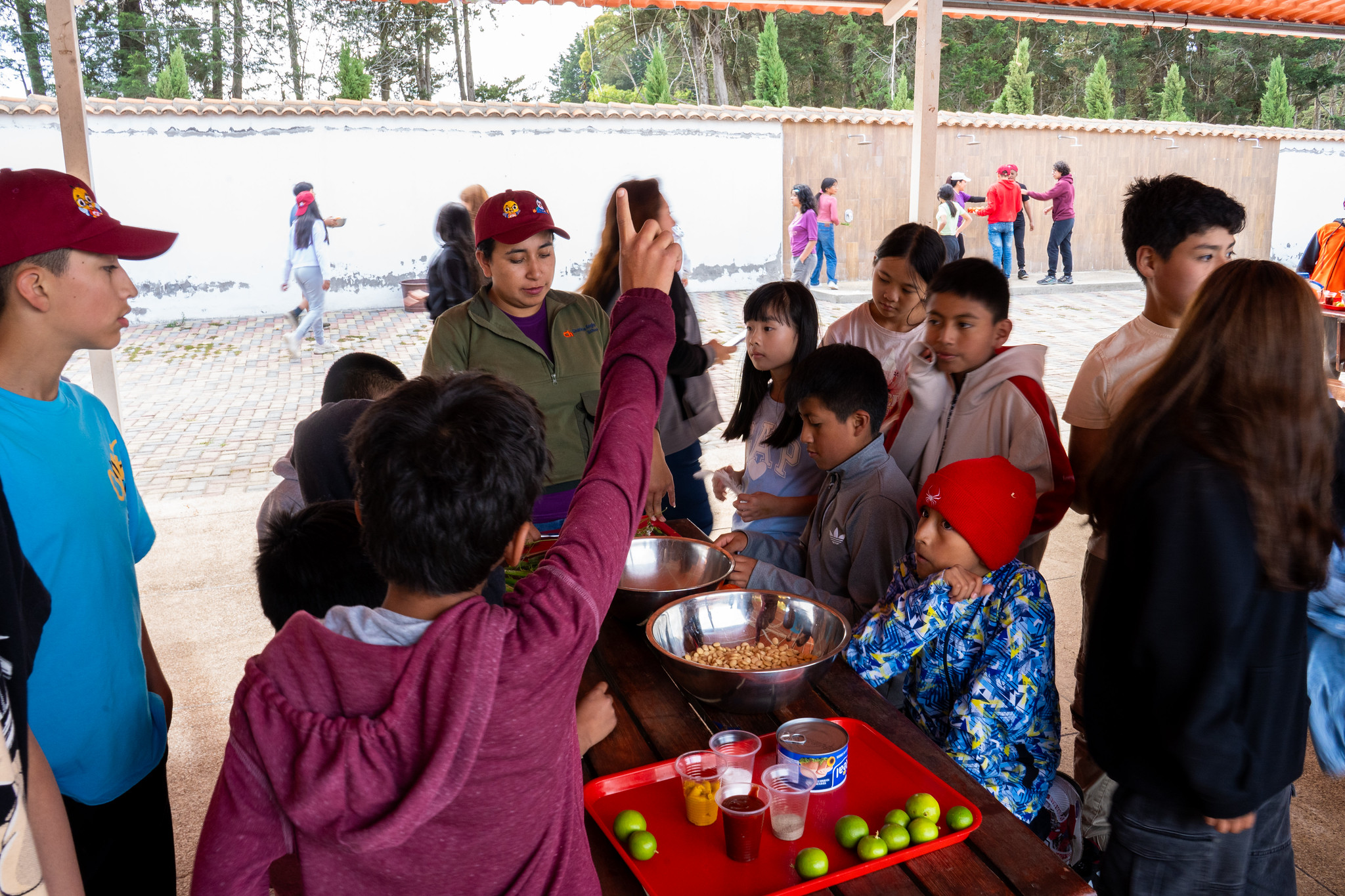 Estudiantes ILVEM participando en una actividad práctica